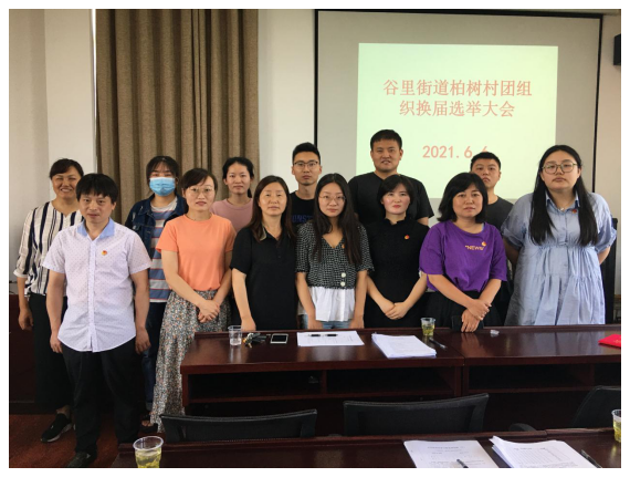 谷里街道柏樹村順利完成團組織換屆選舉工作