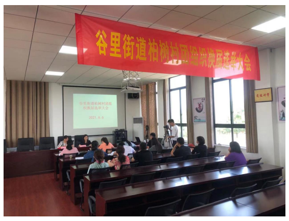 谷里街道柏樹村順利完成團組織換屆選舉工作