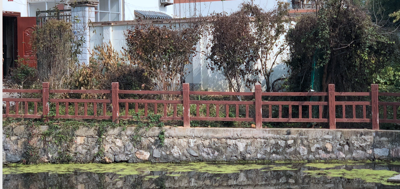 池塘邊的集體土地被人用來栽種果樹，還設(shè)置了柵欄。南報融媒體記者胥欣攝