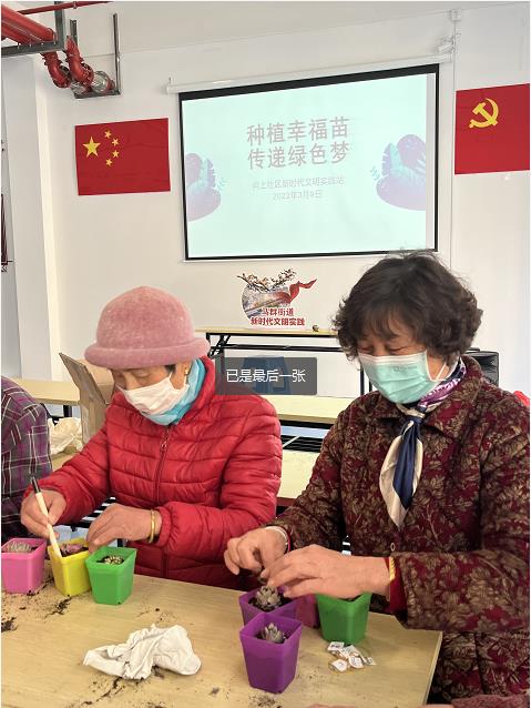 向上社區(qū)開展多肉盆栽種植活動